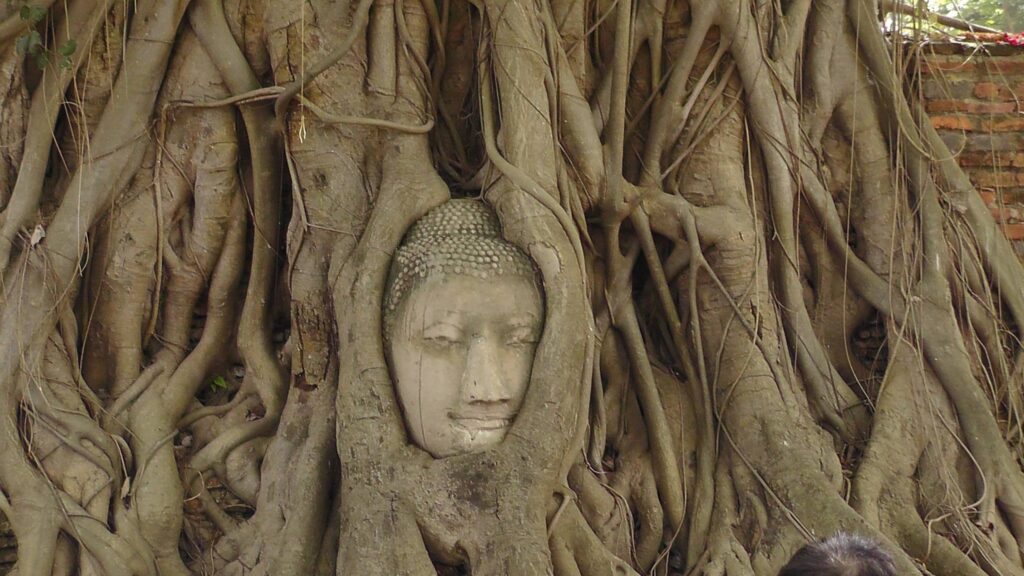 מקדש ואט מהטט איוטיאה 2015