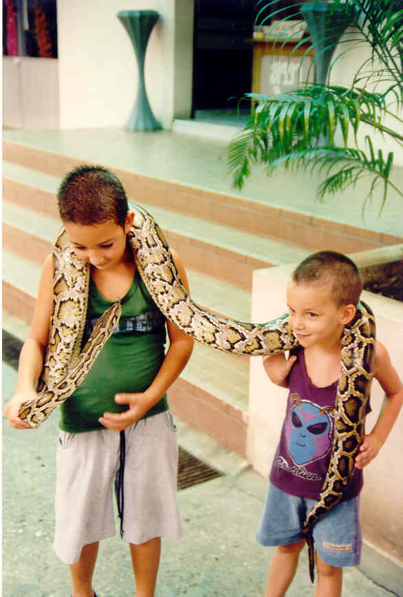 נחשו למה התאהבנו בתאילנד?