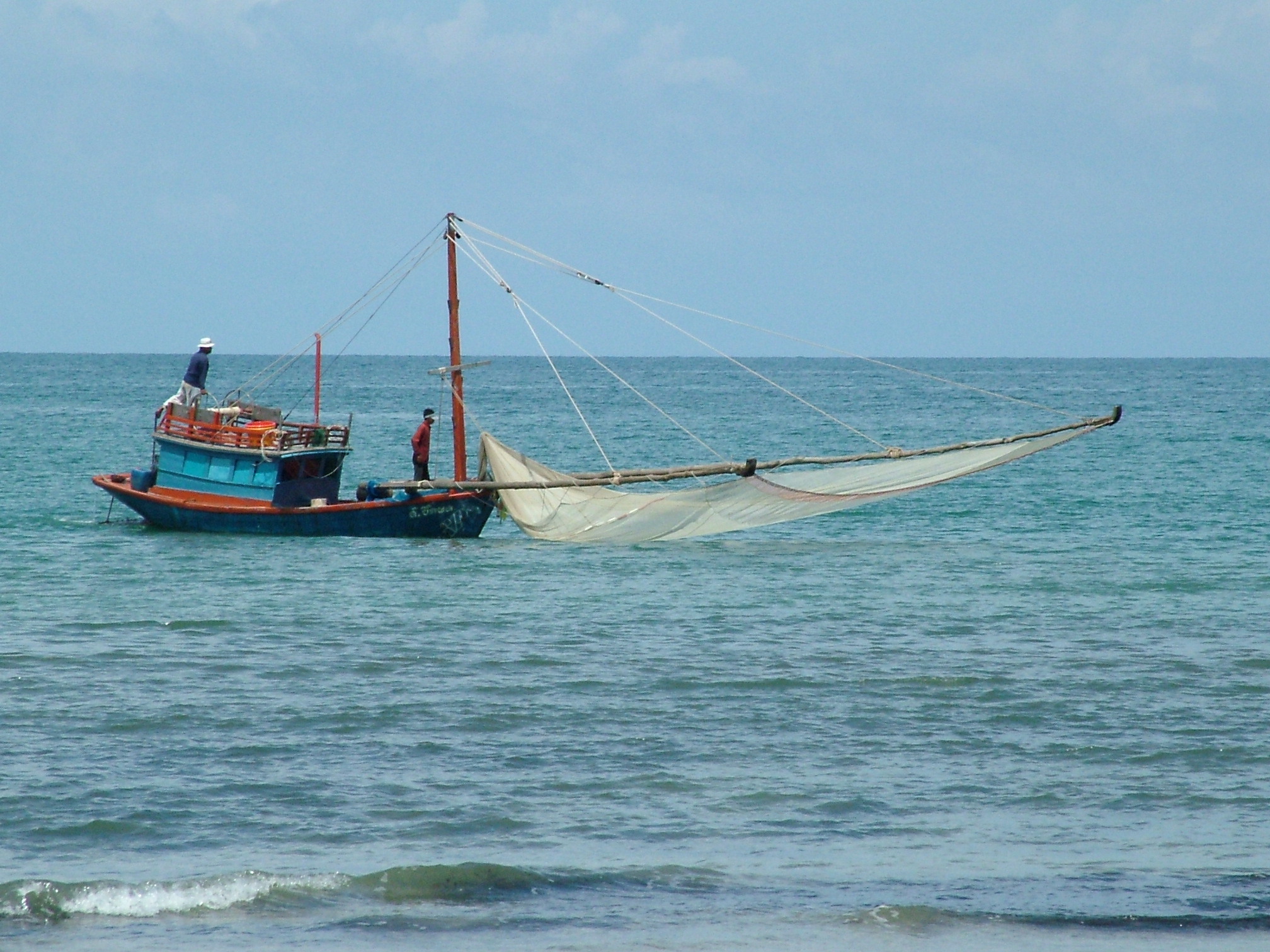 ריקוד השרימפסים: יותר טרי מטרי