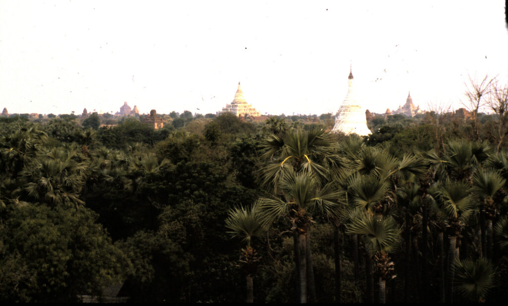 Pagan's Temples 1985