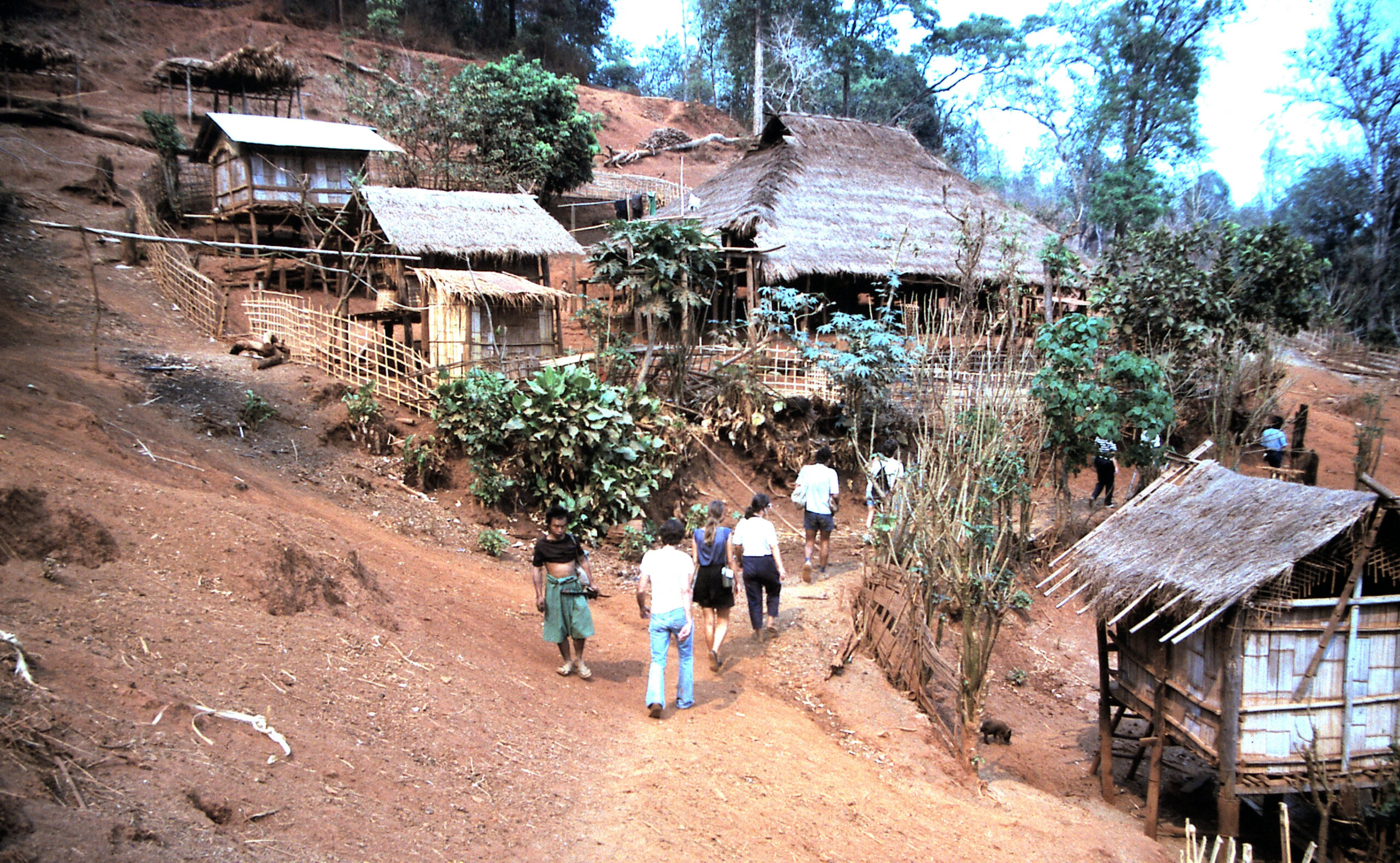 מלון צמחוני בצ'אנג-מאי – לא יאומן כי יסופר