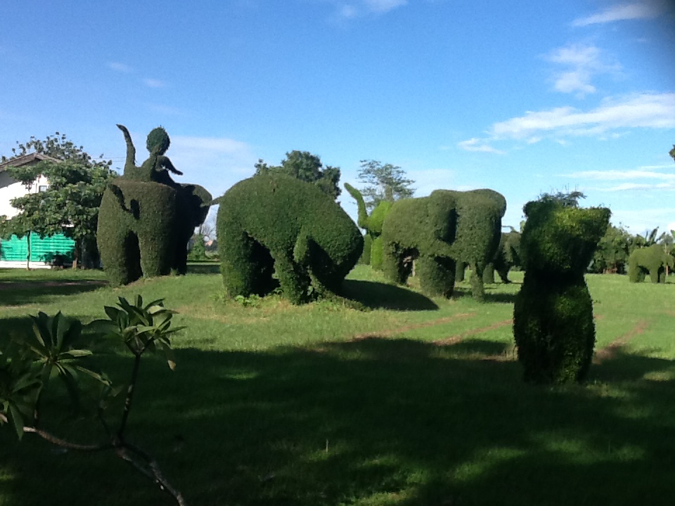 פיסול אמנותי בשיחים לצידי כביש 211 המקביל לחופי המקונג – לפעמים המציאות עולה על כל דמיון