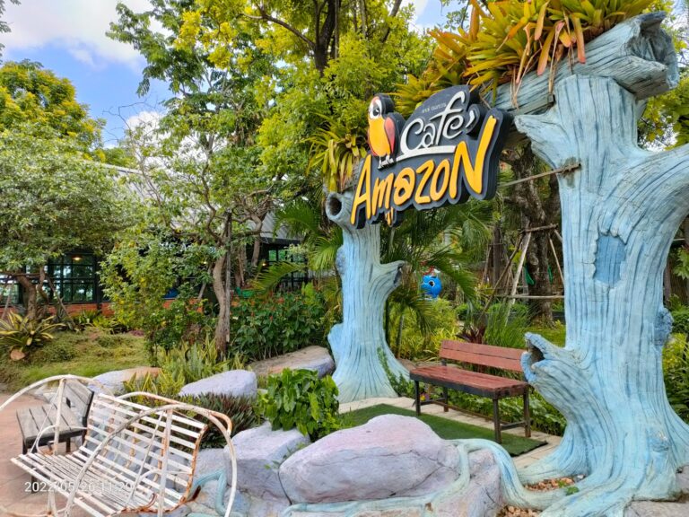 amazom coffe thailand