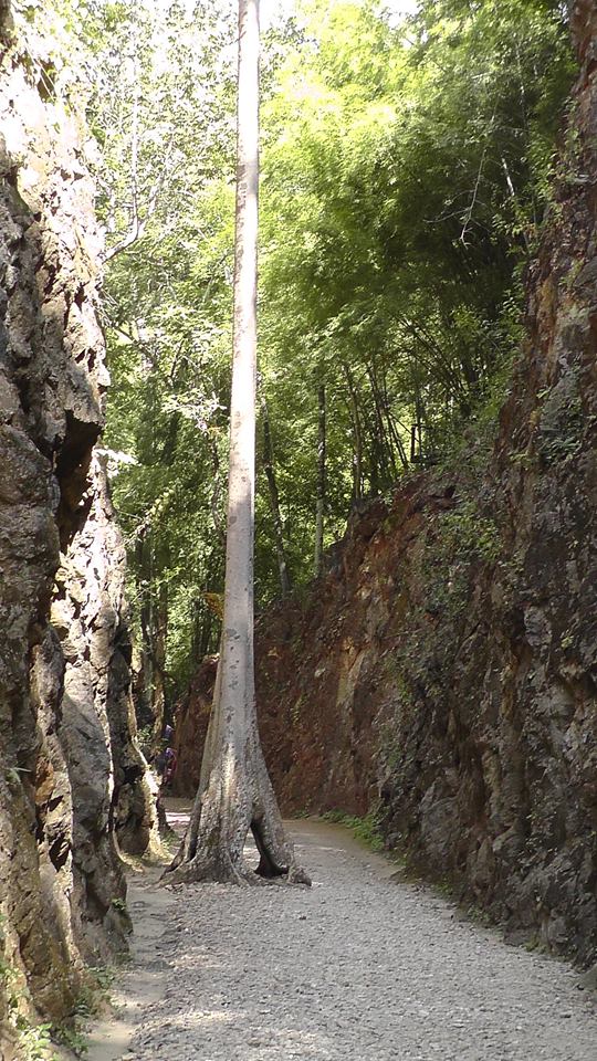 המלצה על הספר: "הדרך הצרה אל הצפון העמוק"