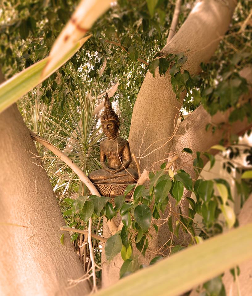 חומדים ומאמצים