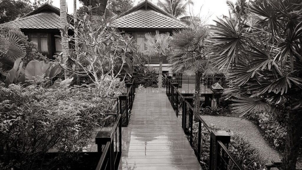 גשם בתאילנד