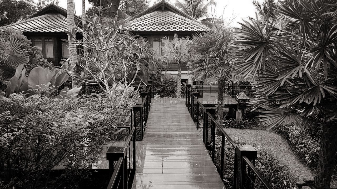 לפעמים הגשם לא במקום