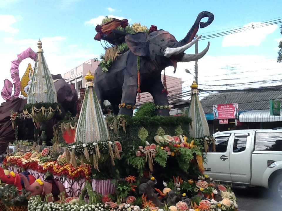 Surin Elephant Round-up