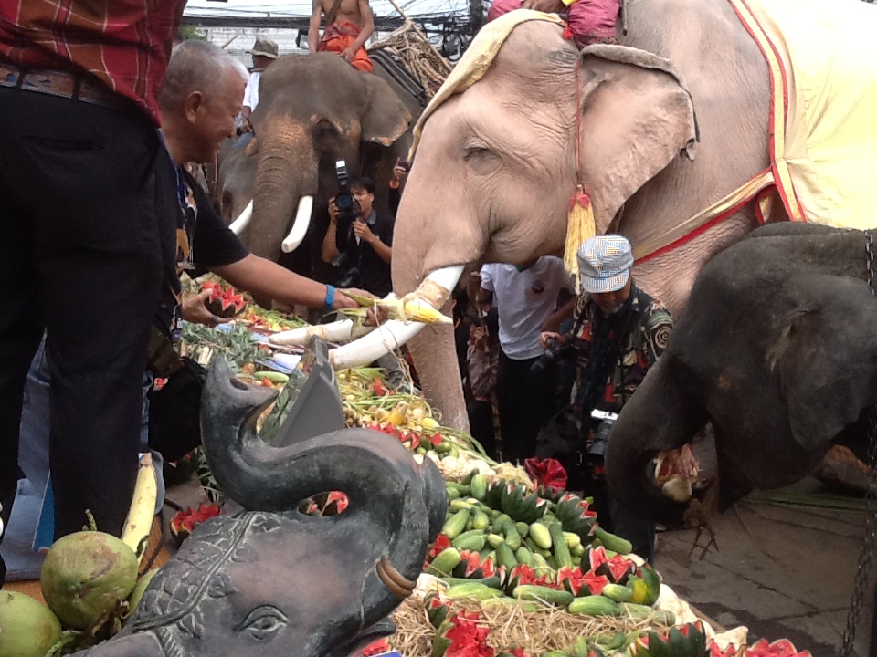 פסטיבל מפיל: פסטיבל הפילים בסורין