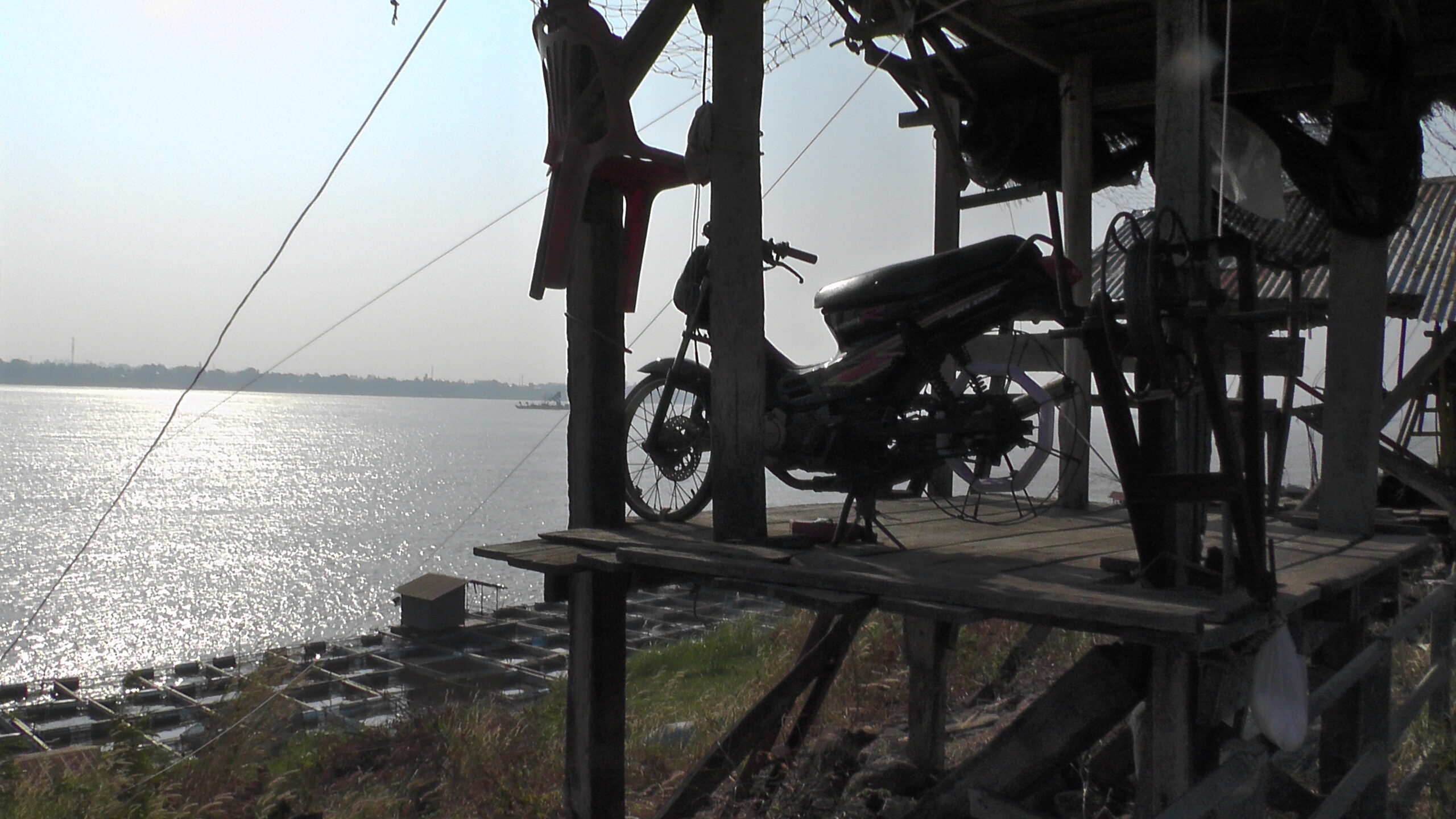 ליד העיר מוקדהן -גלילת רשתות חוות דגים באמצעות טוסטוס. 