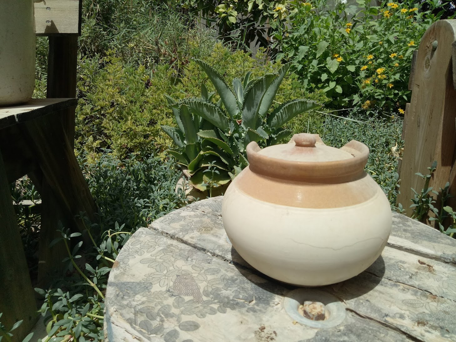 גד חרס מג'יפור העיר הורודה