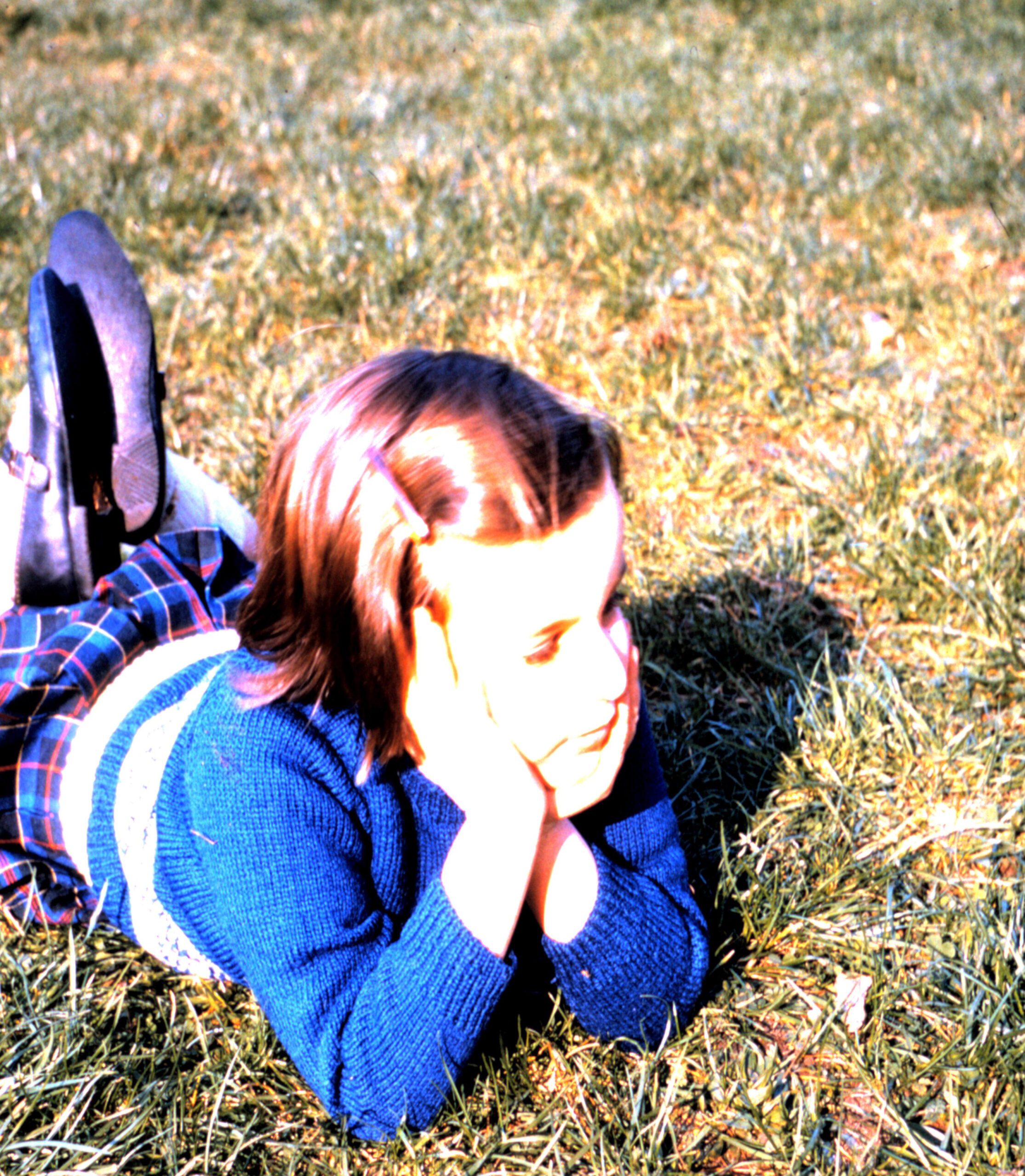 גבעת הקייץ מאת ג'. א. בייקר – ספר שלוקח אותי עמוק לתוך היער