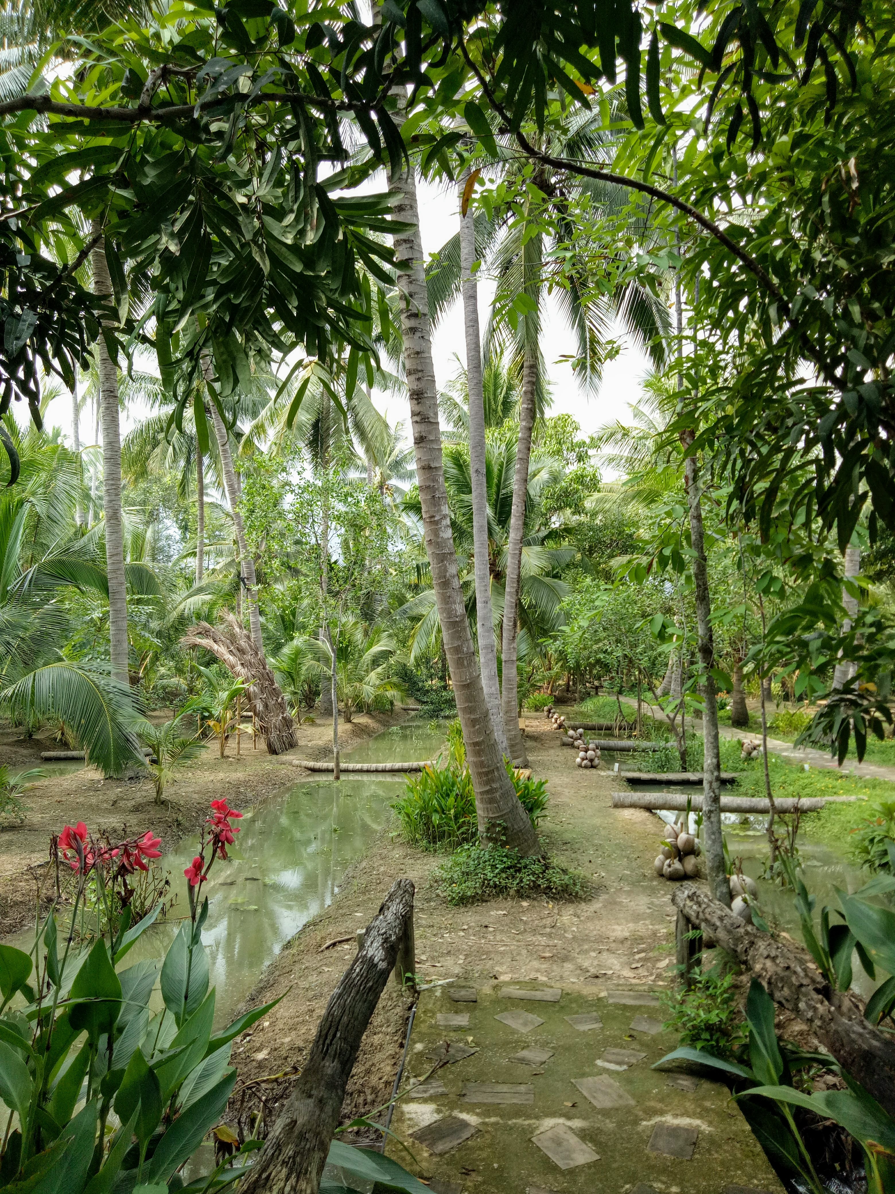 Amphhawa Chaipattananurak Conservation Project