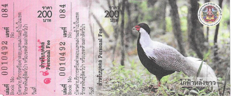 כרטיס הקפצה לואט צ'אלום פרה קיאט