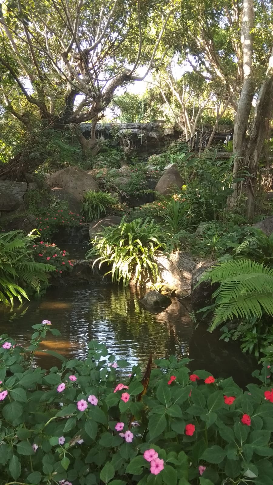 כמה נהדר היה המלון שלנו בצ'אנג ראי