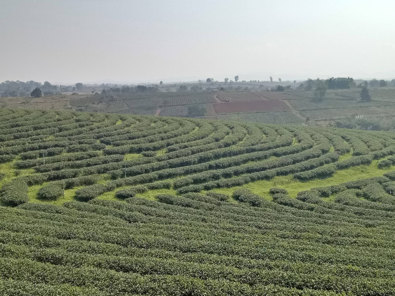 טיולים בסביבת צ'אנג ראי