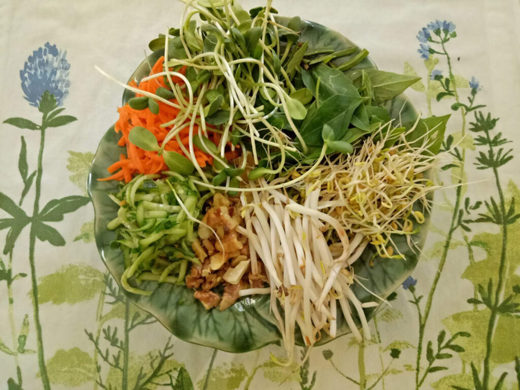 דפי אורז ממולאים