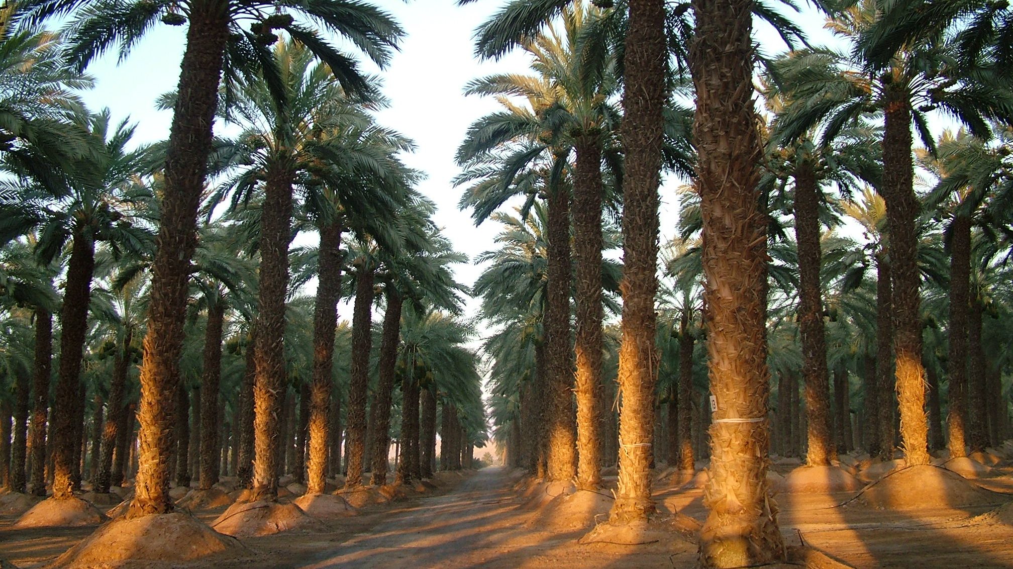 תיכף סתיו וזה הזמן היפה של הערבה התיכונה