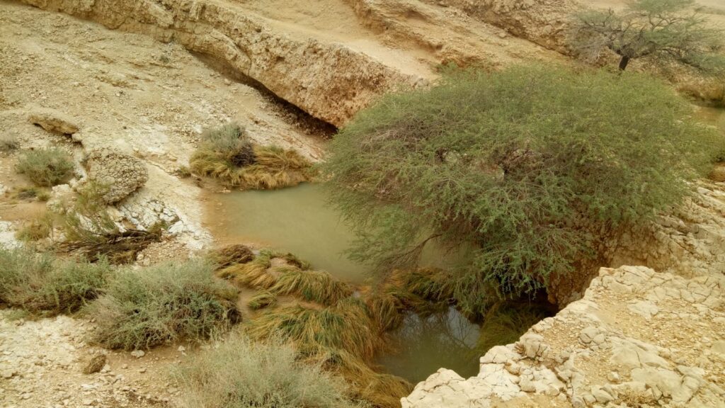 גב מים בערבה
