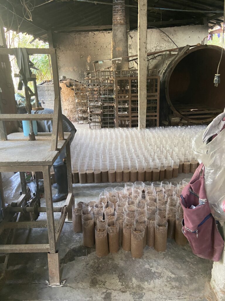 Hunam mushroom farm Nan