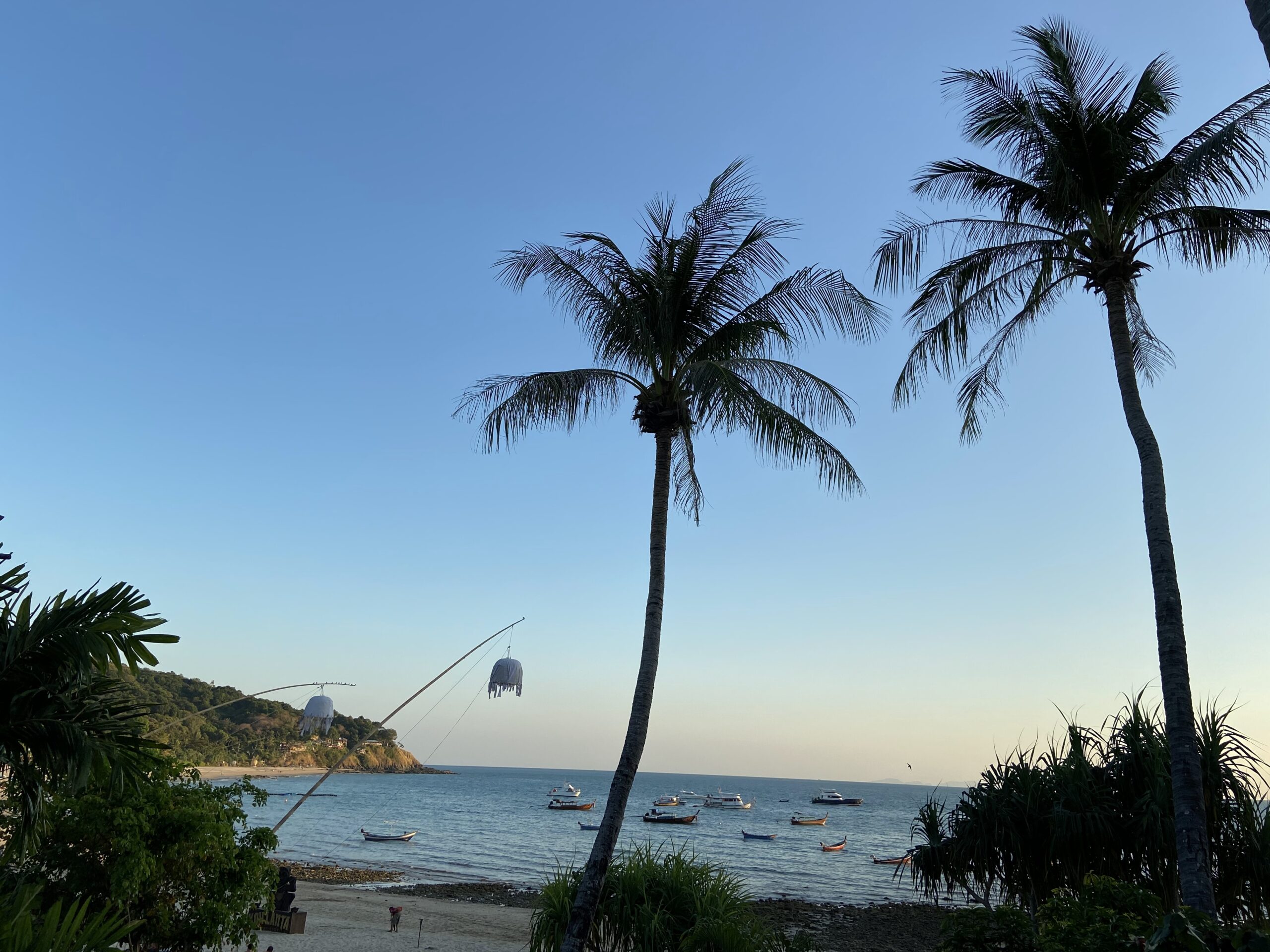 משתזפים בקו לנטה