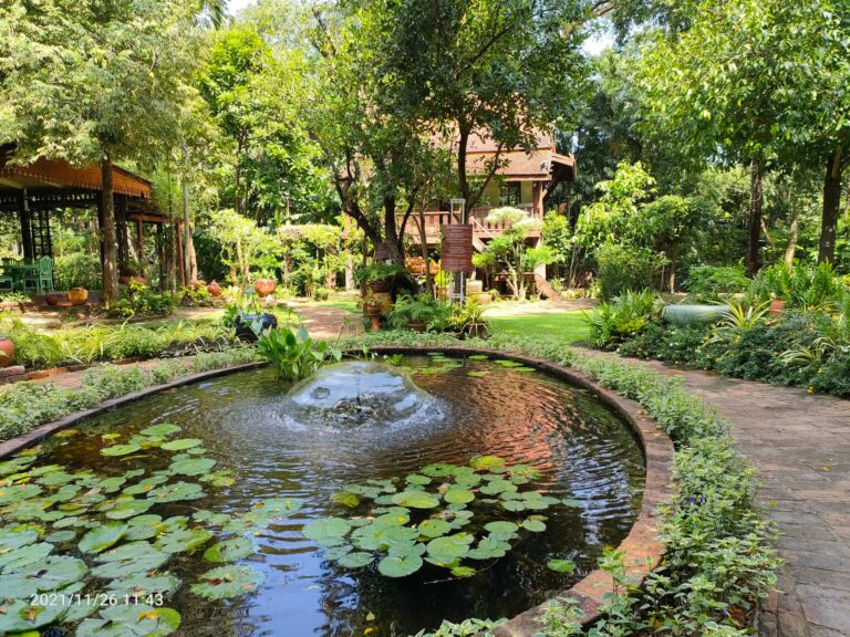 מסעדת סואן טיפ . קו קארט בנגקוק