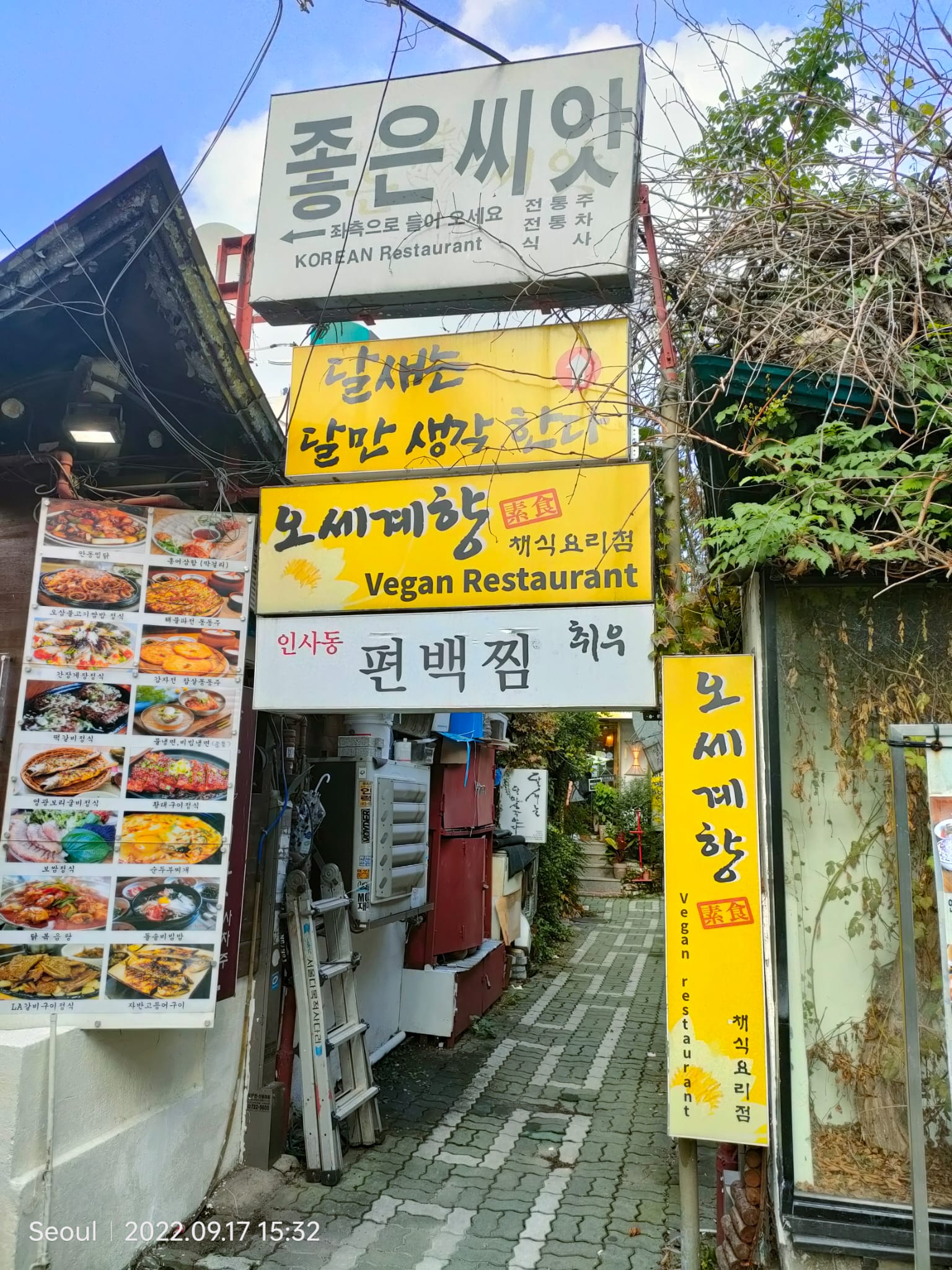 להיות טבעוני בדרום קוריאה: חלק א' – סיאול