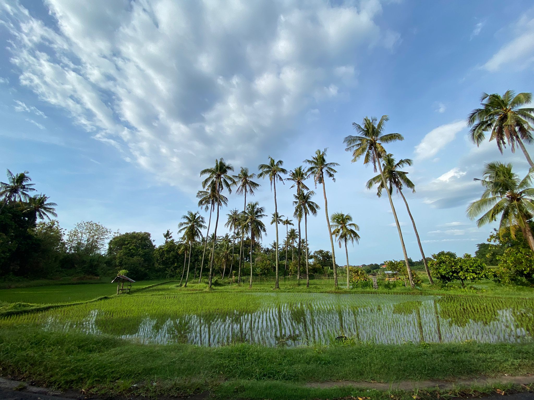 טיול אופנועים בבאלי – חלק ב'