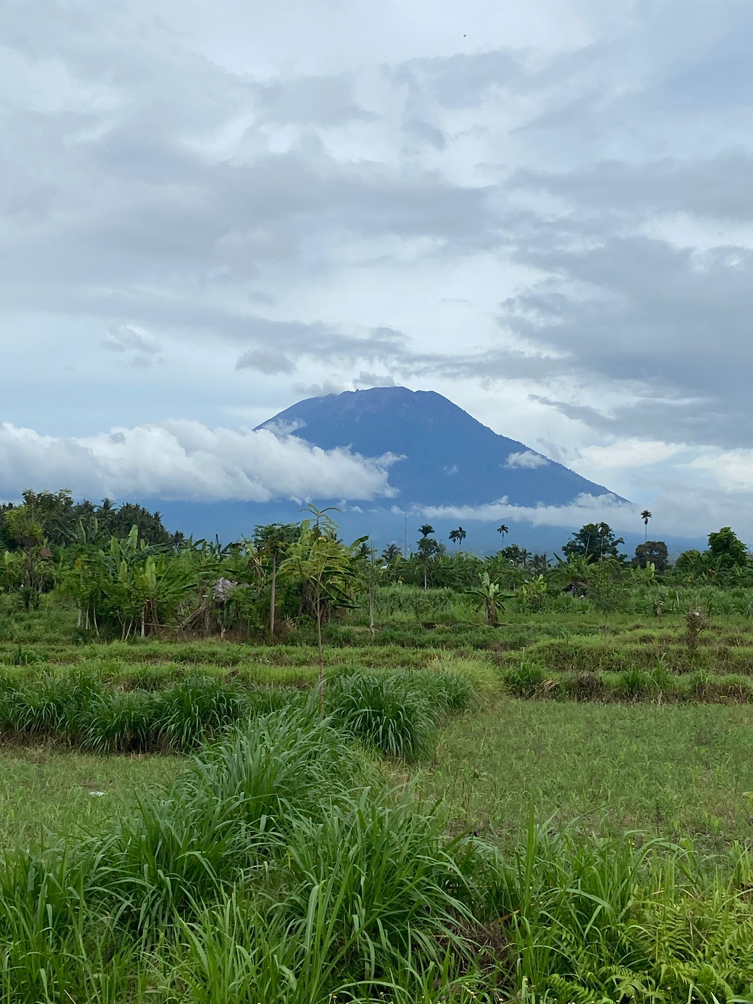 טיול אופנועים בבאלי אינדונזיה – חלק א'