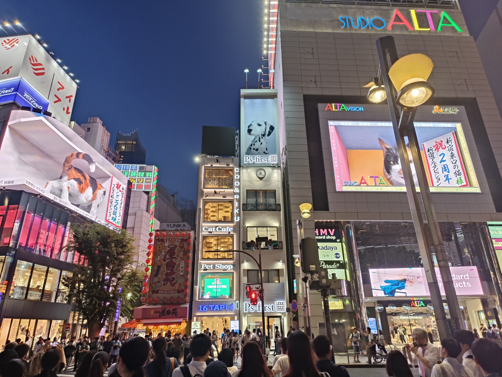 מטיילת בטוקיו