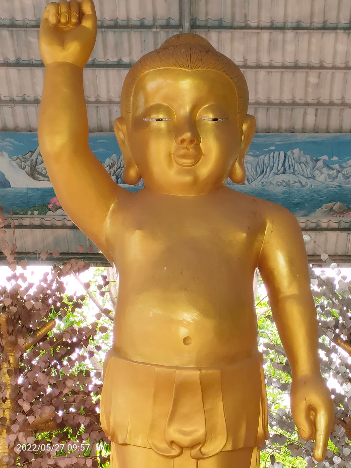 מסלול נהיגה עצמאית בתאילנד – סובב איסאן