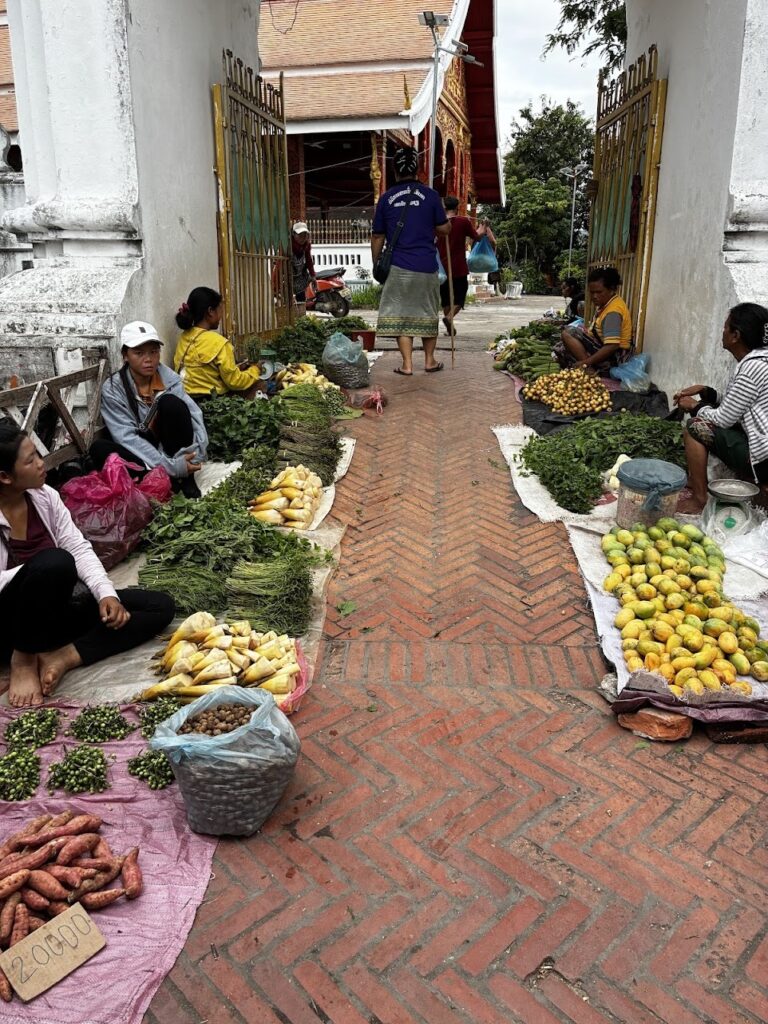 שוק בוקר במרכז לואנג פרבנג לאוס