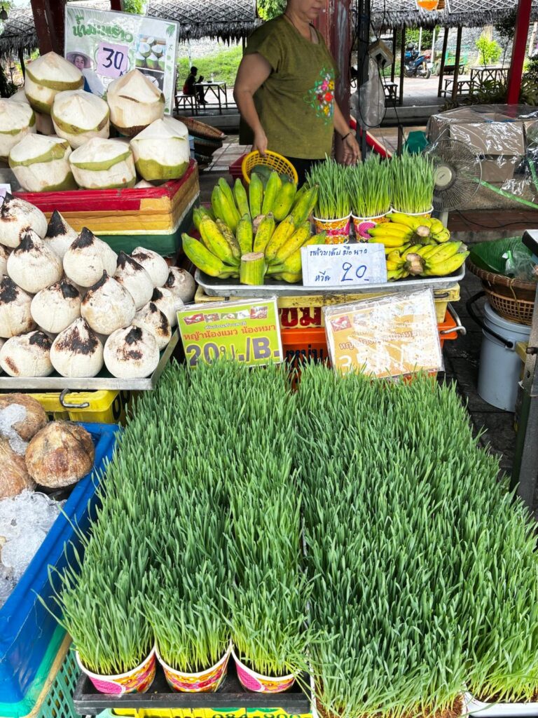   Taling Chan Floating Market