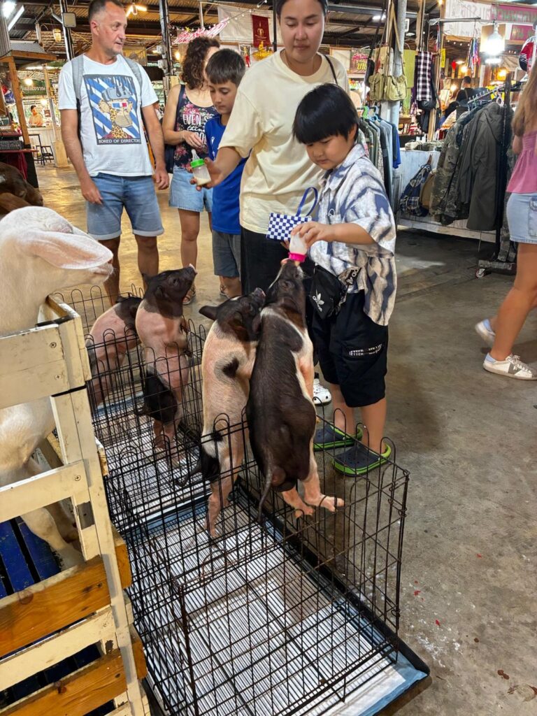 Klong Lat Mayom Floating Marke