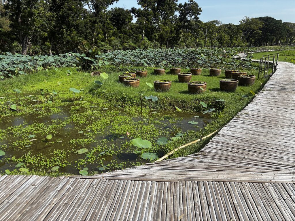 queen Sirikit park bangkok