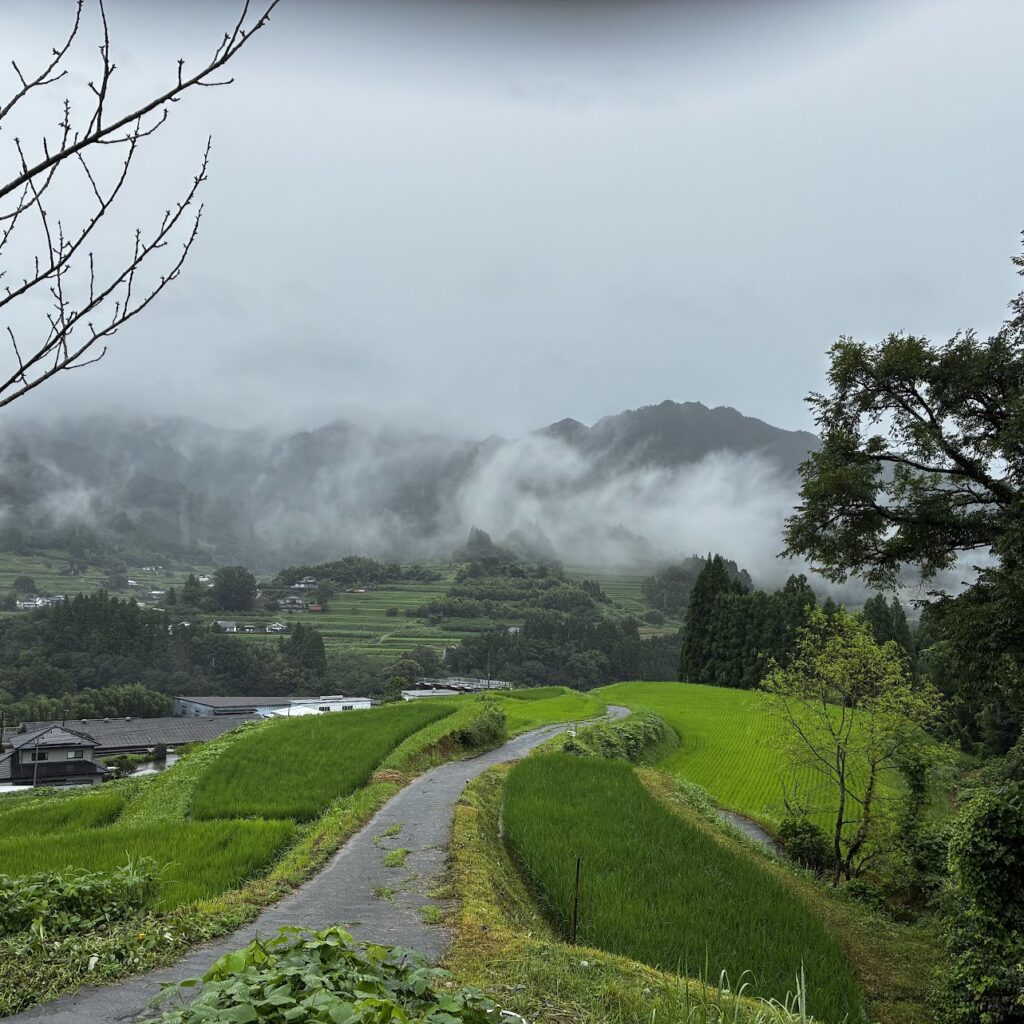 כביש 325 קיושו ביפן