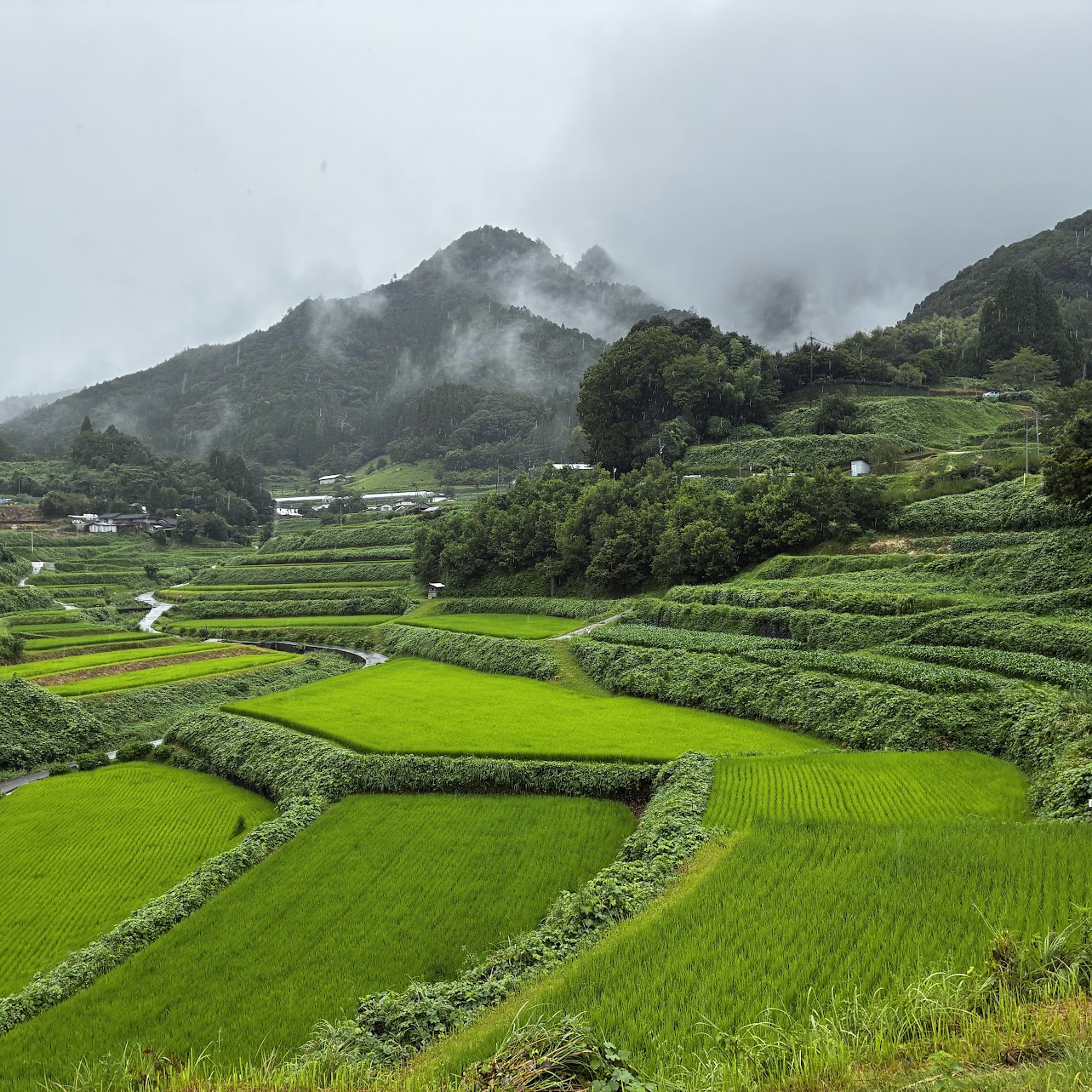 Road Trip קיושו יפן – חלק 1