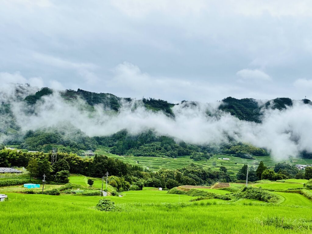 כביש 325 קיושו ביפן
