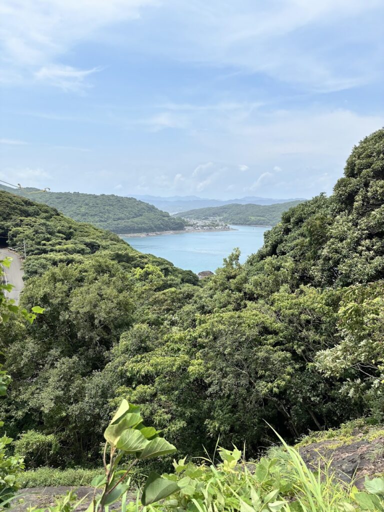 Skeluccha Viewing Deck