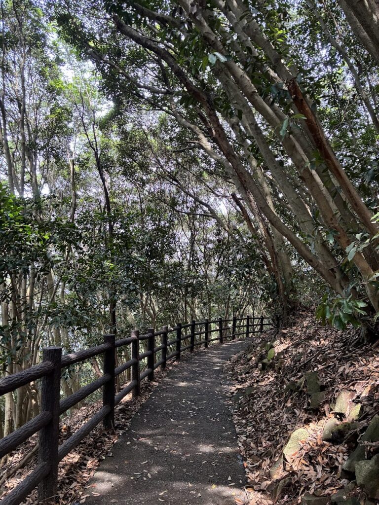 Skeluccha Viewing Deck