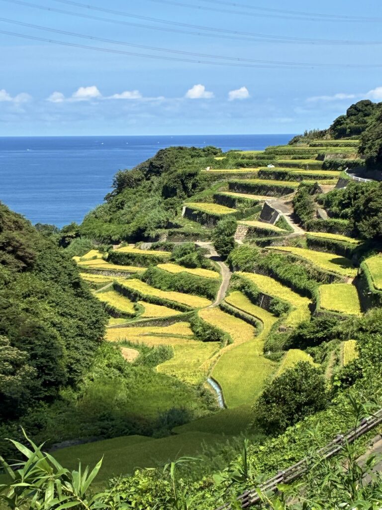 Terraced rice fields of Hamanoura