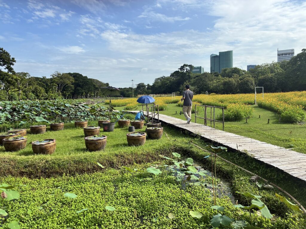 פארק הרכבת בנגקוק