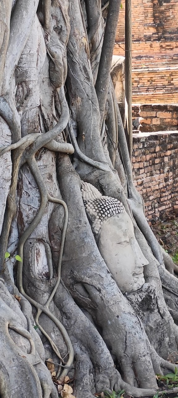 קפצנו לאיוטהאיה