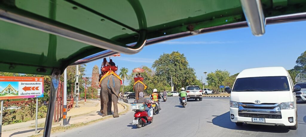 פילים ב-איוטהאיה
