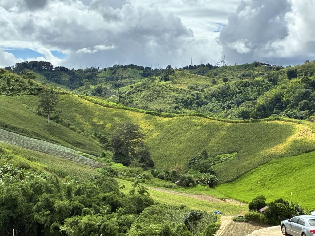 Hydragena Cafe Khao Kho