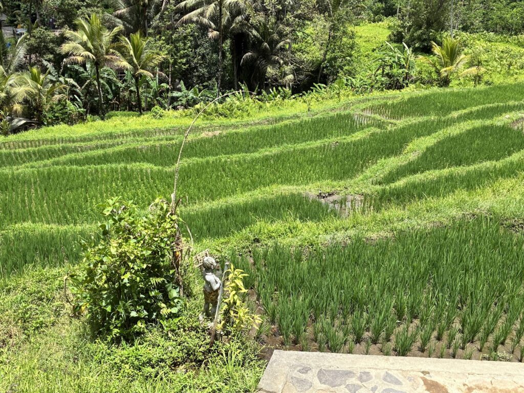 Gunung Kawi Tampaksiring