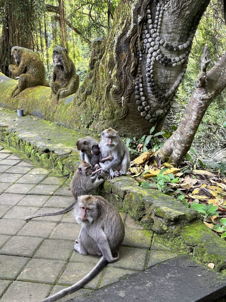 Sacred Monkey Forest Sanctuary