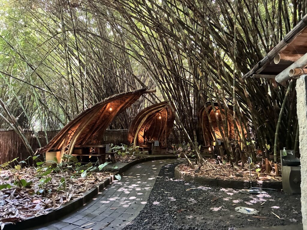 Penglipuran Village בית קפה ביער הבמבוק
