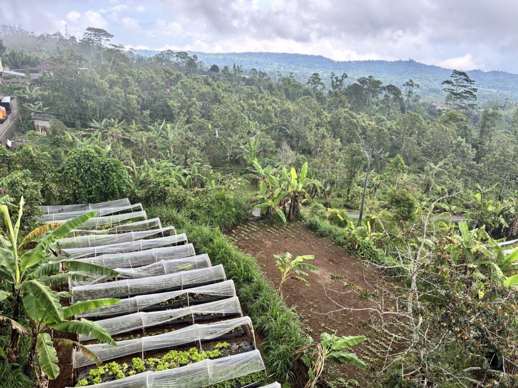 Munduk Moding Plantation Nature Resort