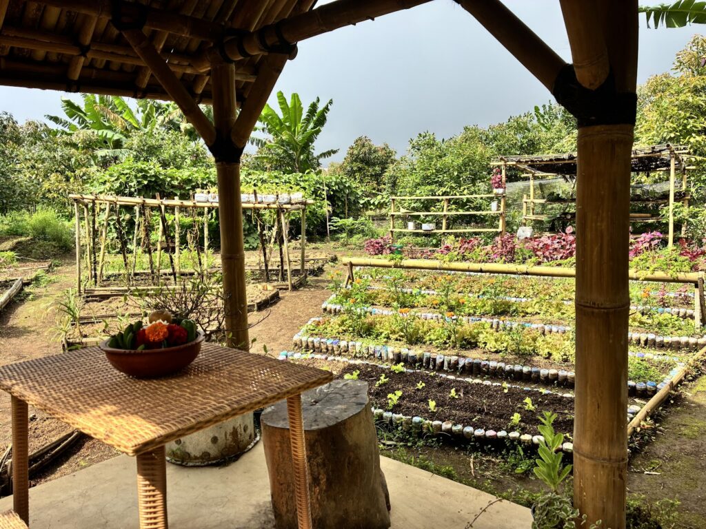 Munduk Moding Plantation Nature Resort